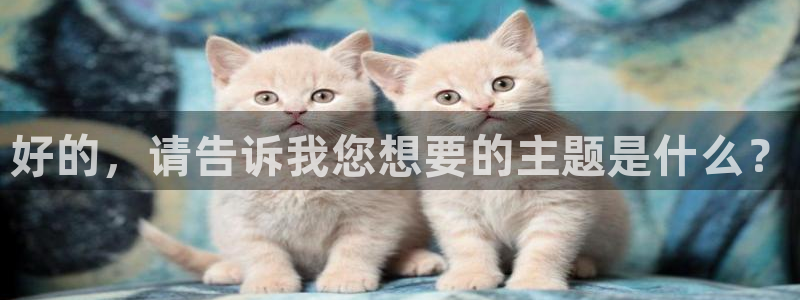 午夜神马影院网站台